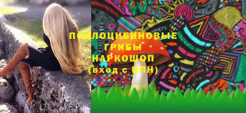 Псилоцибиновые грибы Psilocybe Бобров